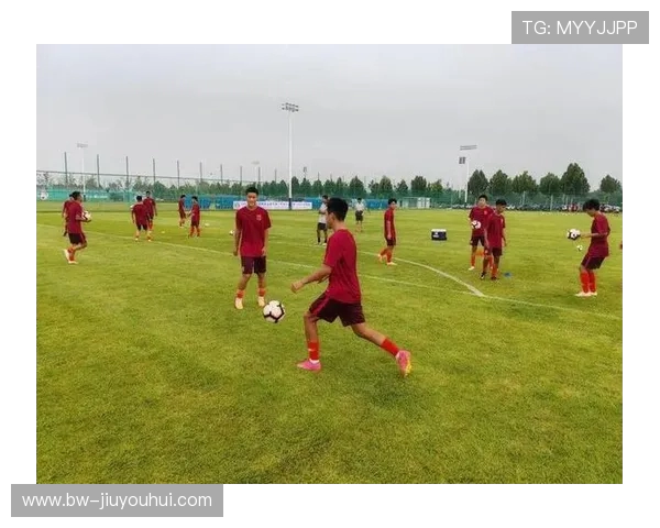 苏州市各区县足球实力分析与发展潜力评估